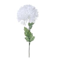 Crysantemum hvid 70cm